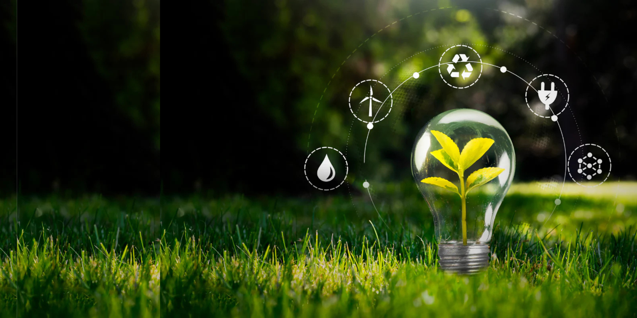 ZWC Solutions team — STP and sustainability service experts India
